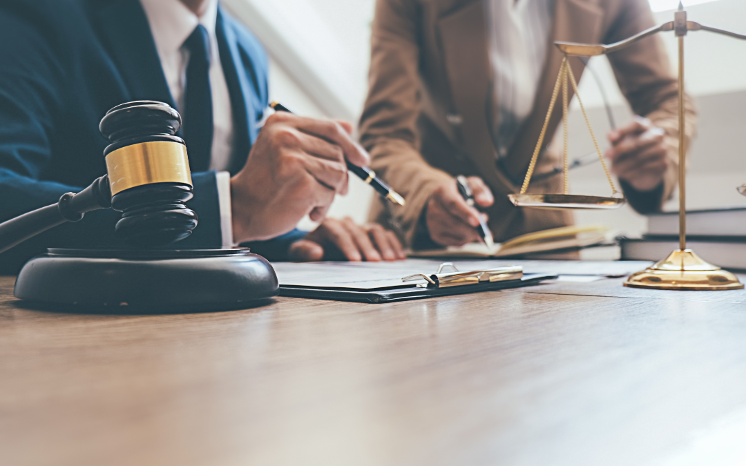 TEXAS BUSINESS LAW BASICS: STARTING AND STRUCTURING YOUR BUSINESS