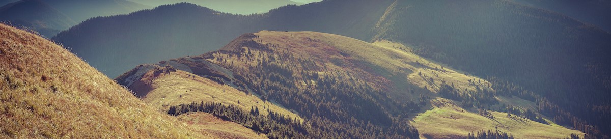 Mazurek, Belden & Burke, P.C. Background Image